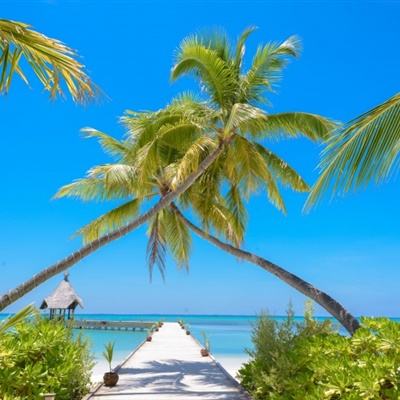 leyu·乐鱼(中国)体育