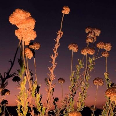 中欧·体育(KOK)中国官方网站