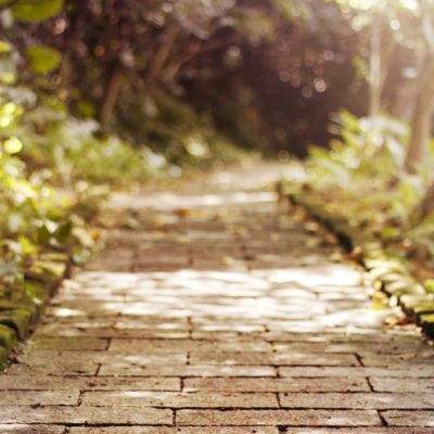 AG九游会app下载截图